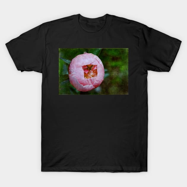 Peony Macro T-Shirt by gracethescene